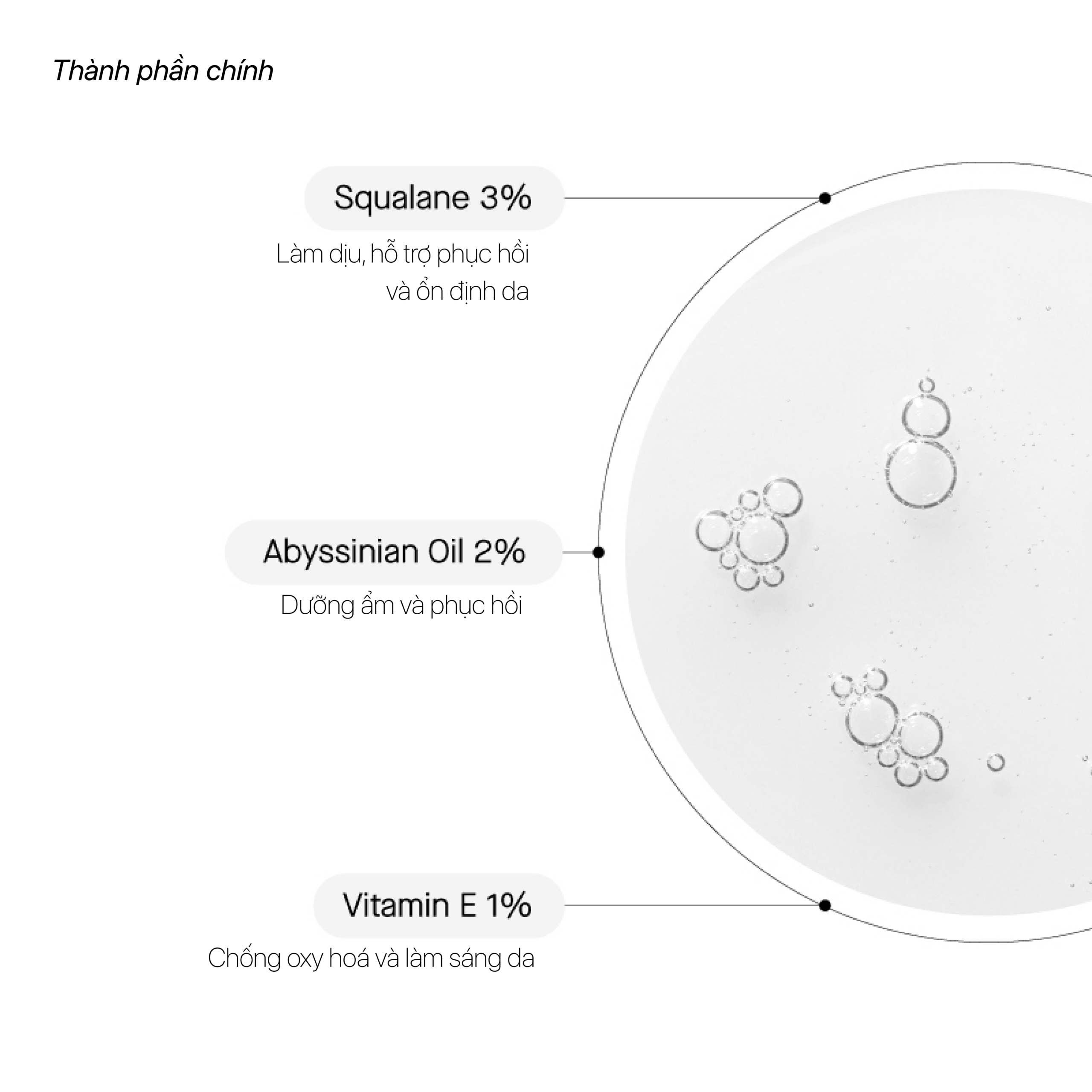 OIL-BASED CLEANSER - Ảnh 5